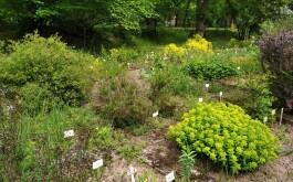 632jw2vpxg_____IMG_20230607_174957