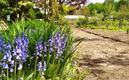 632jw2vpxg_____IMG_20230607_174957