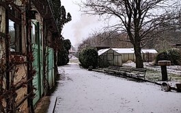 632jw2vpxg_____IMG_20230607_174957