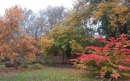 632jw2vpxg_____IMG_20230607_174957