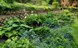 632jw2vpxg_____IMG_20230607_174957