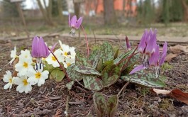 632jw2vpxg_____IMG_20230607_174957