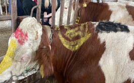 7dqr9ukq47_____3839B548-F948-41EA-B60E-8B3A1EDD9624