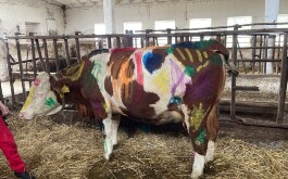 7dqr9ukq47_____3839B548-F948-41EA-B60E-8B3A1EDD9624