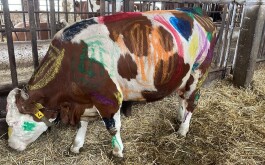 7dqr9ukq47_____3839B548-F948-41EA-B60E-8B3A1EDD9624