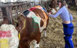 7dqr9ukq47_____3839B548-F948-41EA-B60E-8B3A1EDD9624