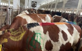 7dqr9ukq47_____3839B548-F948-41EA-B60E-8B3A1EDD9624