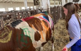 7dqr9ukq47_____3839B548-F948-41EA-B60E-8B3A1EDD9624