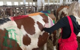 7dqr9ukq47_____3839B548-F948-41EA-B60E-8B3A1EDD9624