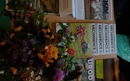 dttq53fayr_____1000014404