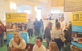 dttq53fayr_____1000014404