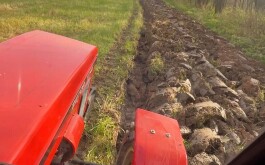 ln7kiduues_____IMG-20251121-WA0003