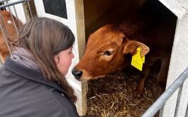 ln7kiduues_____IMG-20251121-WA0003