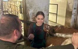 9bkqhwxpps_____IMG-20251219-WA0002