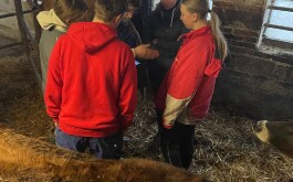 9bkqhwxpps_____IMG-20251219-WA0002