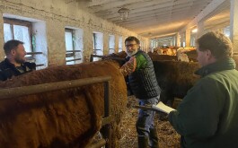 9bkqhwxpps_____IMG-20251219-WA0002