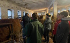 9bkqhwxpps_____IMG-20251219-WA0002