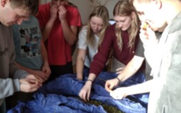 o4aam6mw9s_____IMG-20260326-WA0013