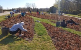 4ook27t619_____1000019310