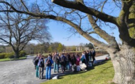 4ook27t619_____1000019310