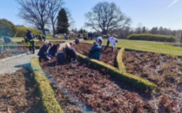 4ook27t619_____1000019310