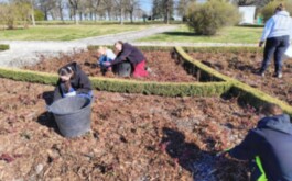 4ook27t619_____1000019310