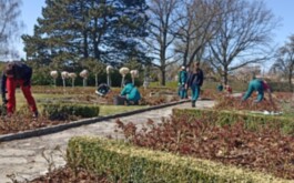 4ook27t619_____1000019310