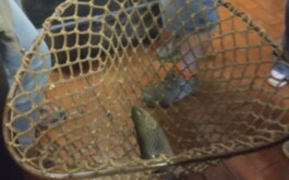 vpmmo2ced7_____IMG_20260409_151459