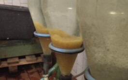 vpmmo2ced7_____IMG_20260409_151459