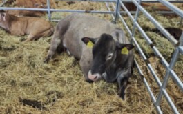 r21z501pw1_____DSC01981