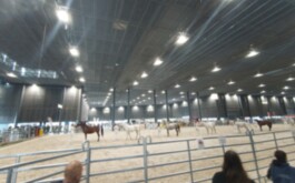 r21z501pw1_____DSC01981