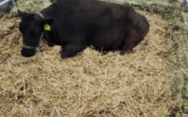 r21z501pw1_____DSC01981