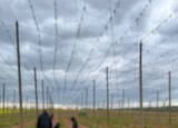 IMG-20260514-WA0002.jpg
