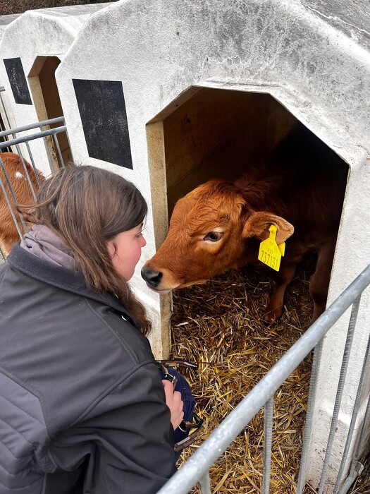 Orba a evidence zvířat