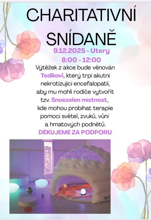 Charitativní snídaně