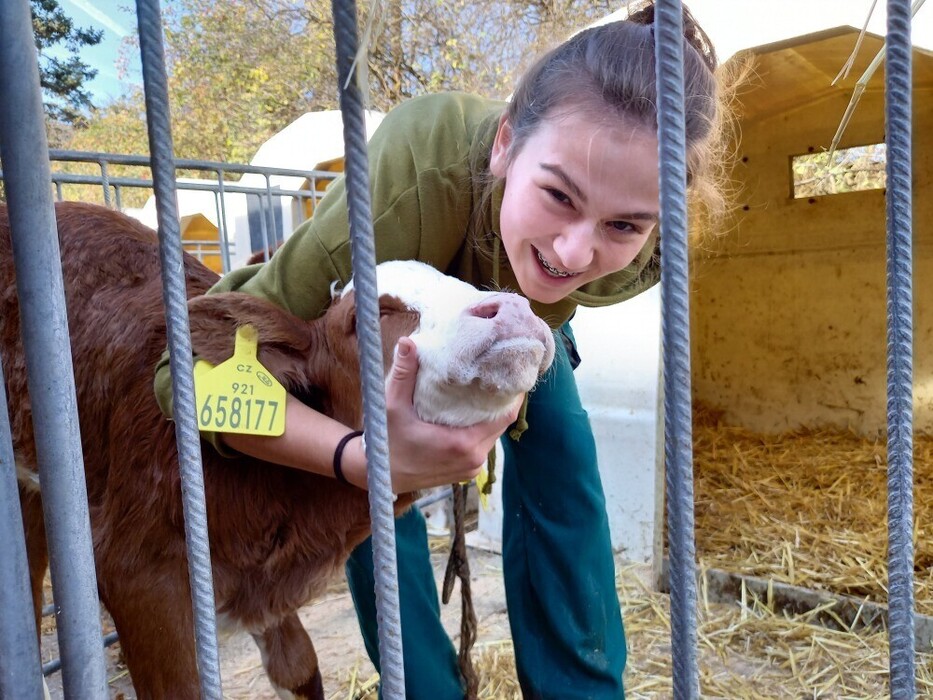 Praxe na Školním statku v Rakovníku