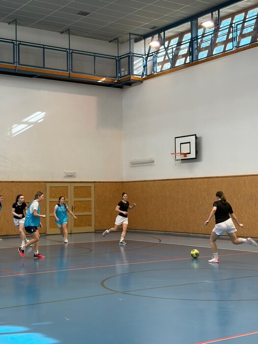 MSS- sálový fotbal