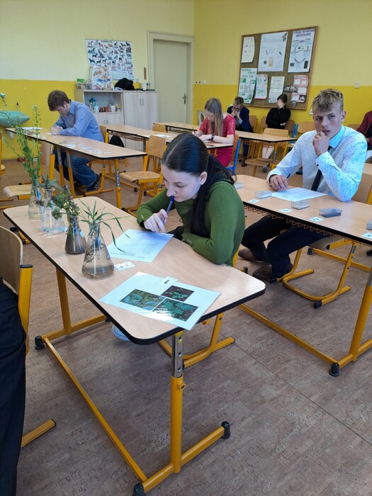 Praktická část maturitní zkoušky