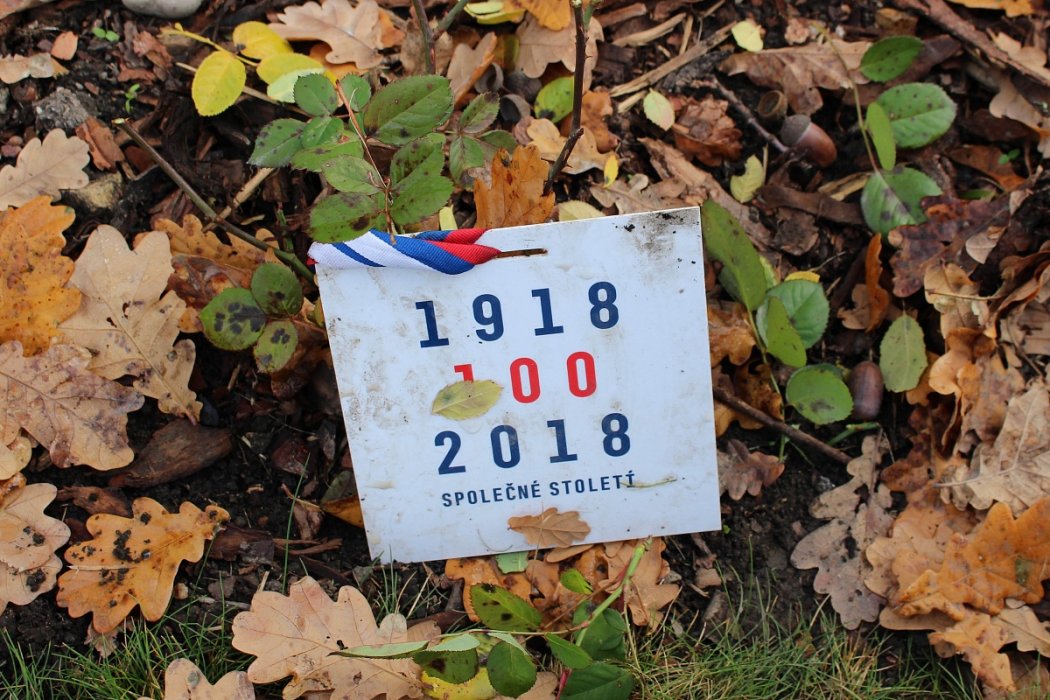 Zazimování Růžového sadu Lidice