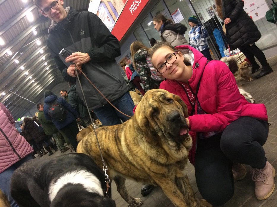 Prague Expo Dog