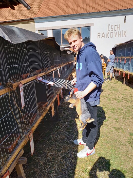 Výstava drobného zvířectva